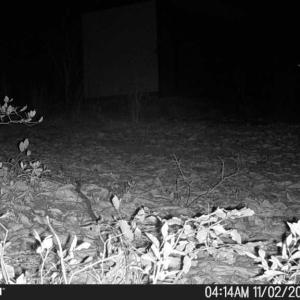 Photo #51 of TBD Earley Farm Road, Amherst, VA 123.4 acres