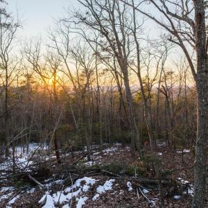 Photo #26 of TBD Earley Farm Road, Amherst, VA 123.4 acres