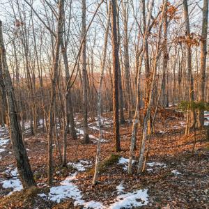 Photo #29 of TBD Earley Farm Road, Amherst, VA 123.4 acres