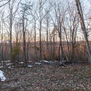 Photo #3 of TBD Earley Farm Road, Amherst, VA 123.4 acres