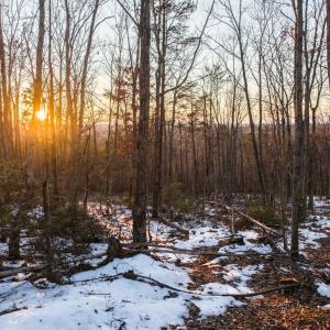 Photo #28 of TBD Earley Farm Road, Amherst, VA 123.4 acres