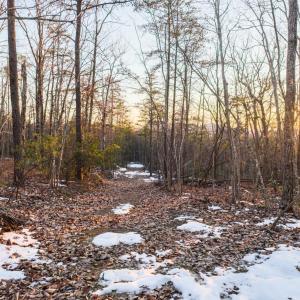 Photo #25 of TBD Earley Farm Road, Amherst, VA 123.4 acres