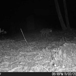 Photo #55 of TBD Earley Farm Road, Amherst, VA 123.4 acres