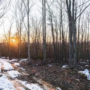 Photo #30 of TBD Earley Farm Road, Amherst, VA 123.4 acres