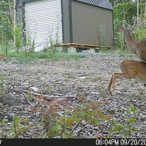 Photo #52 of TBD Earley Farm Road, Amherst, VA 123.4 acres