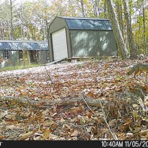 Photo #56 of TBD Earley Farm Road, Amherst, VA 123.4 acres