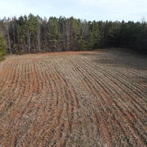 Photo #7 of TN Snow Road, Nathalie, VA 22.8 acres