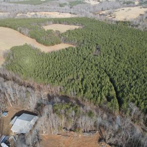 Photo #5 of TN Snow Road, Nathalie, VA 22.8 acres