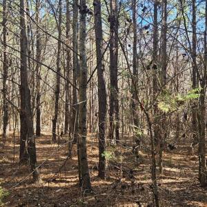 Photo #2 of TN Snow Road, Nathalie, VA 22.8 acres