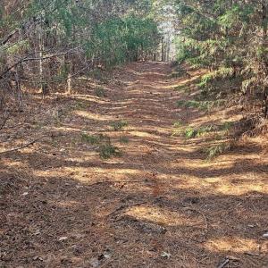 Photo #5 of TN Snow Road, Nathalie, VA 22.7 acres