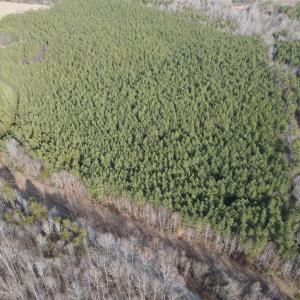 Photo #3 of TN Snow Road, Nathalie, VA 22.7 acres