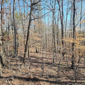 Photo #3 of Red Oak Road, Martinsville, VA 3.1 acres