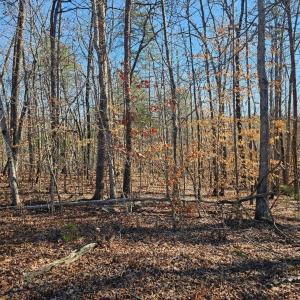 Photo #2 of Red Oak Road, Martinsville, VA 3.1 acres