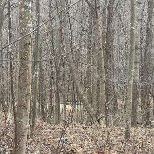 Photo #7 of 1 Bandy Mill  Rd, Hardy, VA 2.4 acres
