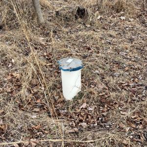 Photo #2 of 1 Bandy Mill  Rd, Hardy, VA 2.4 acres