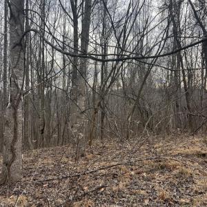 Photo #3 of 1 Bandy Mill  Rd, Hardy, VA 2.4 acres