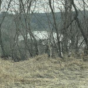 Photo #4 of 1 Bandy Mill  Rd, Hardy, VA 2.4 acres