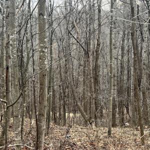 Photo #5 of 1 Bandy Mill  Rd, Hardy, VA 2.4 acres