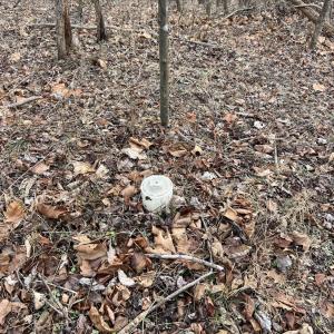 Photo #9 of 1 Bandy Mill  Rd, Hardy, VA 2.4 acres