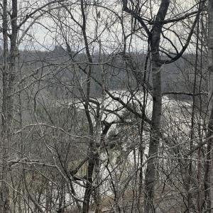 Photo #6 of 1 Bandy Mill  Rd, Hardy, VA 2.4 acres