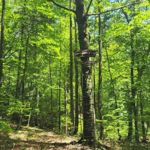 Photo #38 of 3171 Earley Farm Road, Madison Heights, VA 81.2 acres