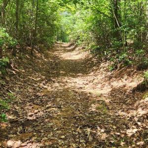 Photo #33 of 3171 Earley Farm Road, Madison Heights, VA 81.2 acres