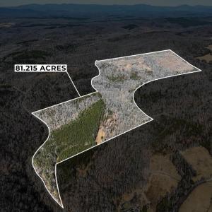 Photo #22 of 3171 Earley Farm Road, Madison Heights, VA 81.2 acres