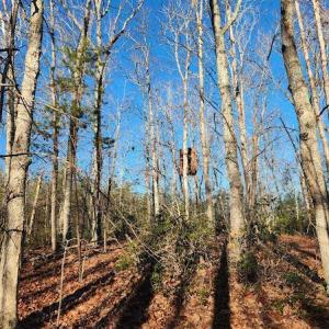 Photo #28 of 3171 Earley Farm Road, Madison Heights, VA 81.2 acres