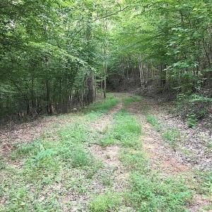 Photo #25 of 3171 Earley Farm Road, Madison Heights, VA 81.2 acres