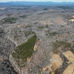 Photo #14 of 3171 Earley Farm Road, Madison Heights, VA 81.2 acres