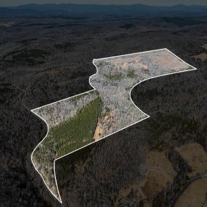 Photo #4 of 3171 Earley Farm Road, Madison Heights, VA 81.2 acres