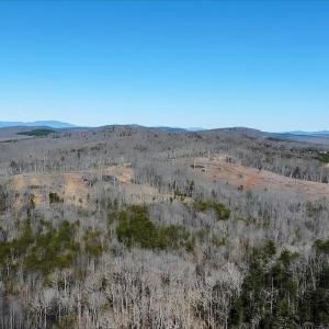 Photo #18 of 3171 Earley Farm Road, Madison Heights, VA 81.2 acres