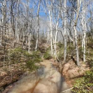 Photo #6 of 3171 Earley Farm Road, Madison Heights, VA 81.2 acres