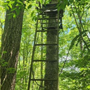 Photo #37 of 3171 Earley Farm Road, Madison Heights, VA 81.2 acres