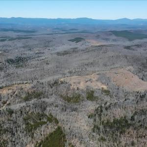 Photo #19 of 3171 Earley Farm Road, Madison Heights, VA 81.2 acres