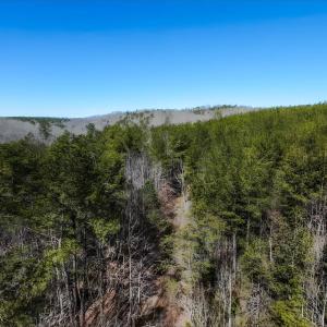 Photo #15 of 3171 Earley Farm Road, Madison Heights, VA 81.2 acres