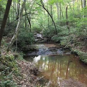 Photo #16 of 3171 Earley Farm Road, Madison Heights, VA 81.2 acres