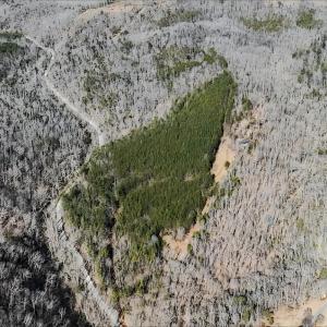 Photo #21 of 3171 Earley Farm Road, Madison Heights, VA 81.2 acres