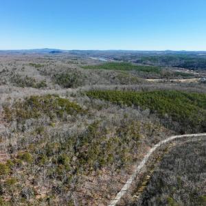 Photo #17 of 3171 Earley Farm Road, Madison Heights, VA 81.2 acres