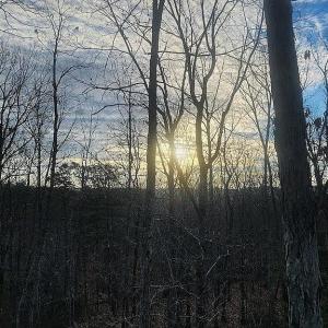 Photo #23 of 3171 Early Farm Road, Madison Heights, VA 81.2 acres