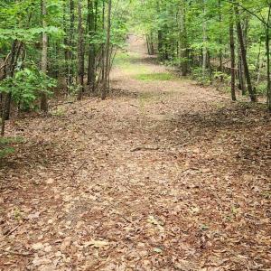 Photo #34 of 3171 Early Farm Road, Madison Heights, VA 81.2 acres