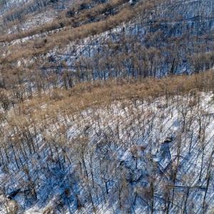 Photo #22 of 65 Lavender Lane, Amherst, VA 64.8 acres