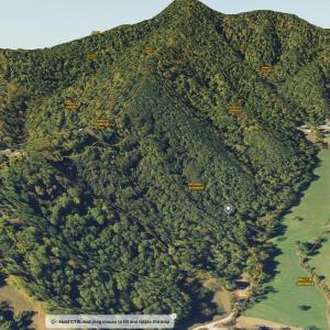 Photo #3 of 65 Lavender Lane, Amherst, VA 64.8 acres
