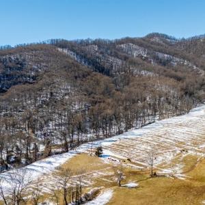 Photo #12 of 65 Lavender Lane, Amherst, VA 64.8 acres