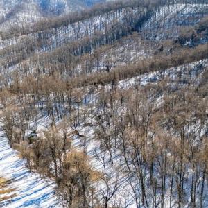 Photo #29 of 65 Lavender Lane, Amherst, VA 64.8 acres