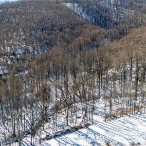 Photo #16 of 65 Lavender Lane, Amherst, VA 64.8 acres