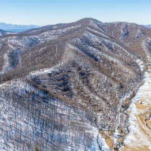 Photo #4 of 65 Lavender Lane, Amherst, VA 64.8 acres