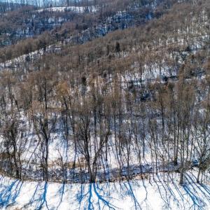 Photo #15 of 65 Lavender Lane, Amherst, VA 64.8 acres