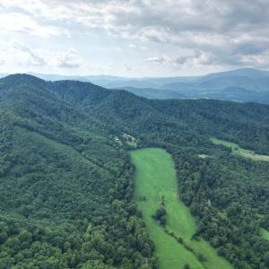 Photo #11 of 65 Lavender Lane, Amherst, VA 64.8 acres