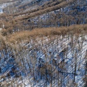 Photo #37 of 65 Lavender Lane, Amherst, VA 64.8 acres